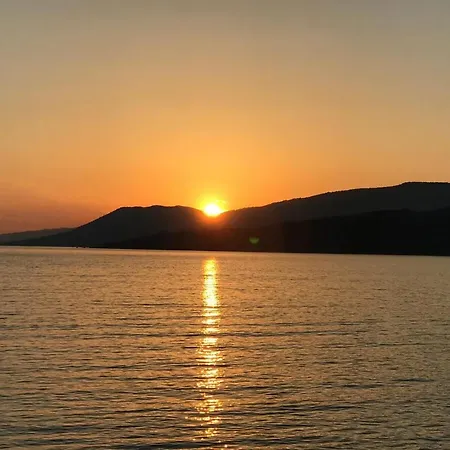 Appartement charmant à Propriano, 45 m² avec terrasse Apartment