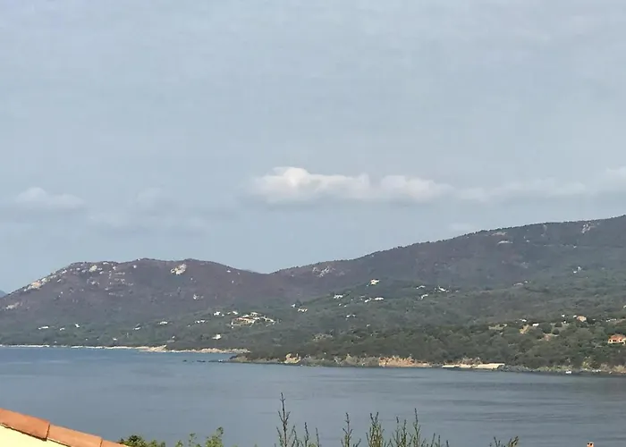 아파트 A Propriano, 45 M² Avec Terrasse *
